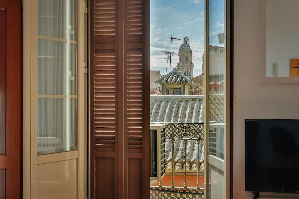 C61 - Brand New One Bedroom Cathedral Views Málaga