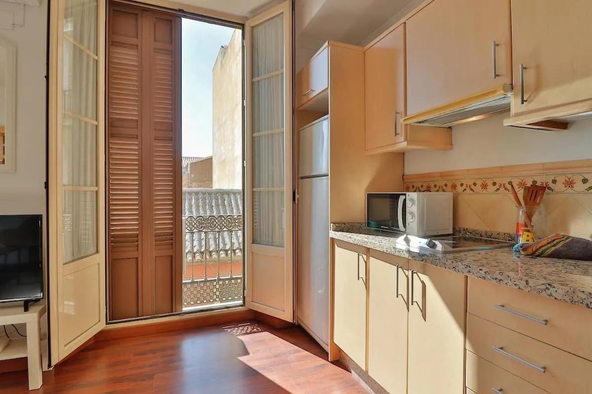 C61 - Brand New One Bedroom Cathedral Views Malaga Apartment